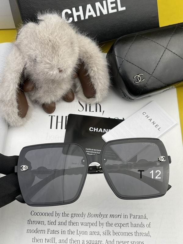 Chanel Sunglasses 1110